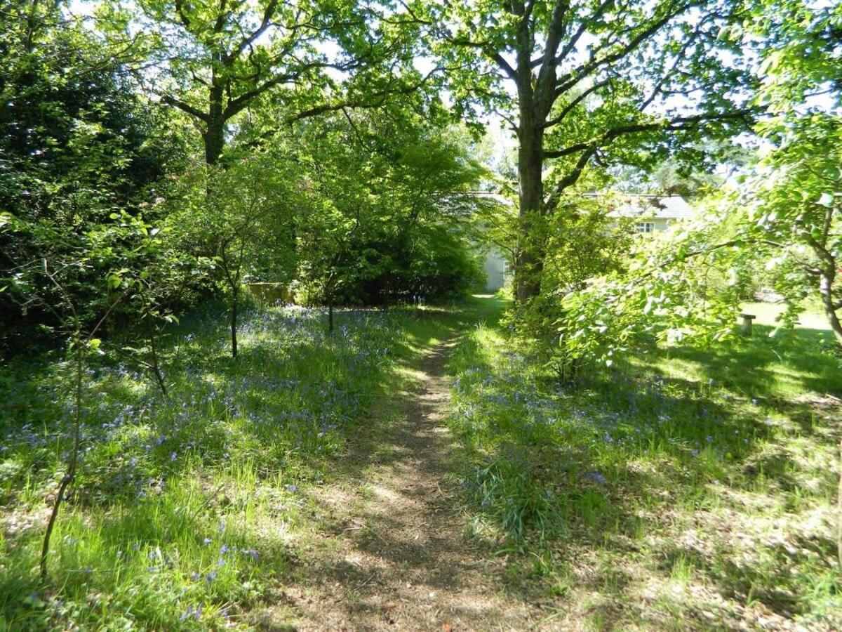 River Cottage A Country Retreat In Wooded Gardens East Stoke (Dorset) Exterior foto