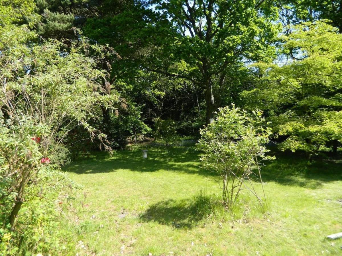 River Cottage A Country Retreat In Wooded Gardens East Stoke (Dorset) Exterior foto