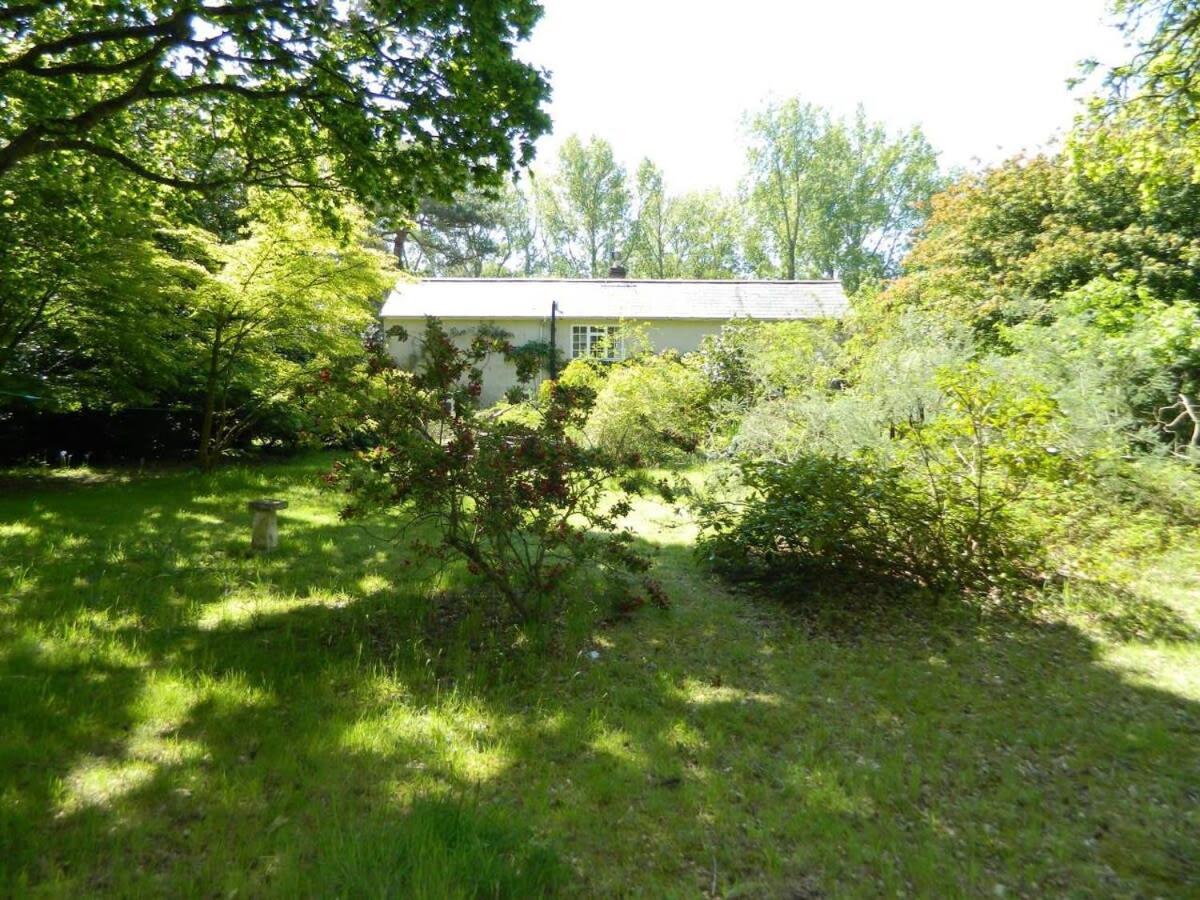 River Cottage A Country Retreat In Wooded Gardens East Stoke (Dorset) Exterior foto