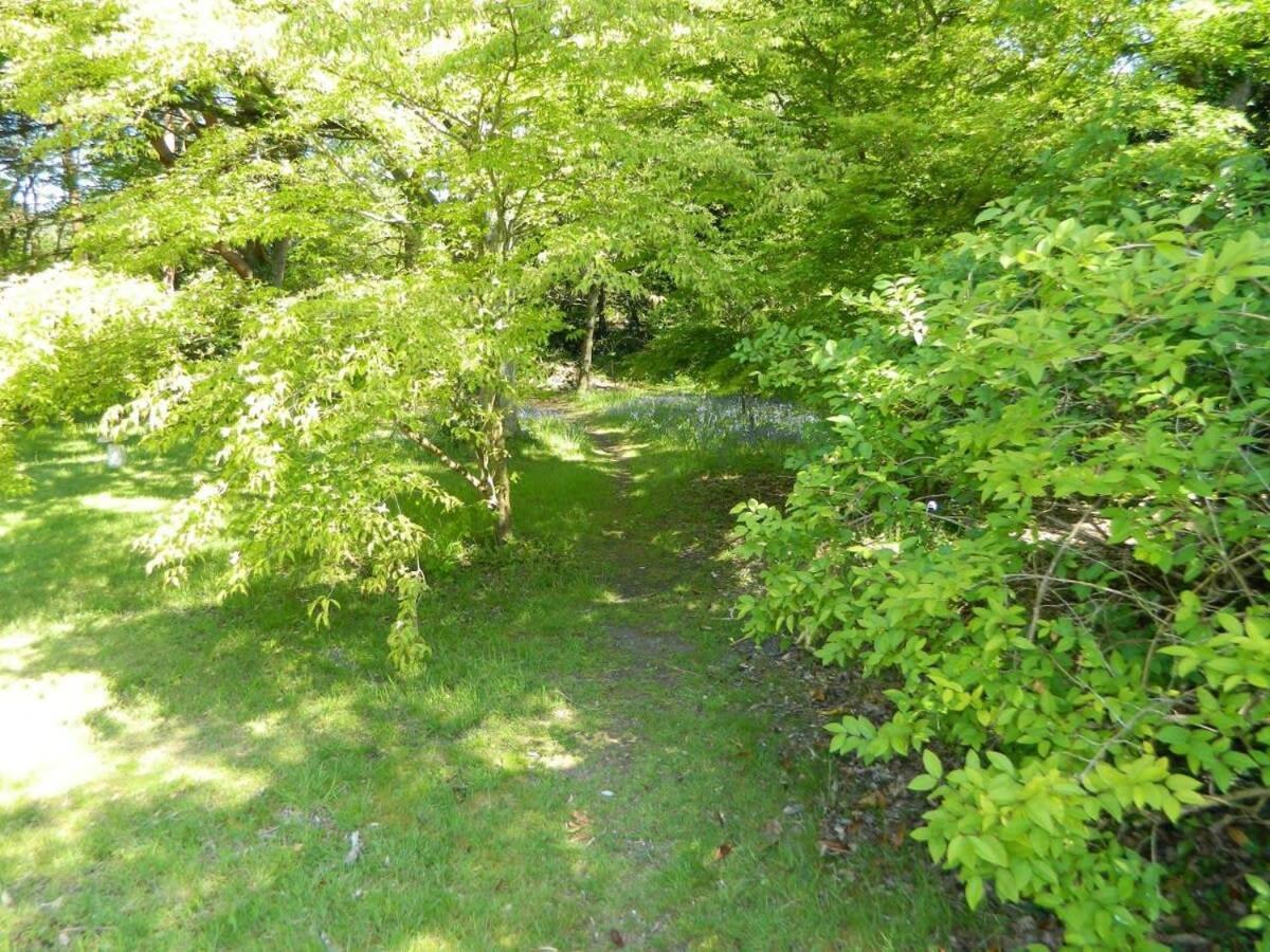 River Cottage A Country Retreat In Wooded Gardens East Stoke (Dorset) Exterior foto