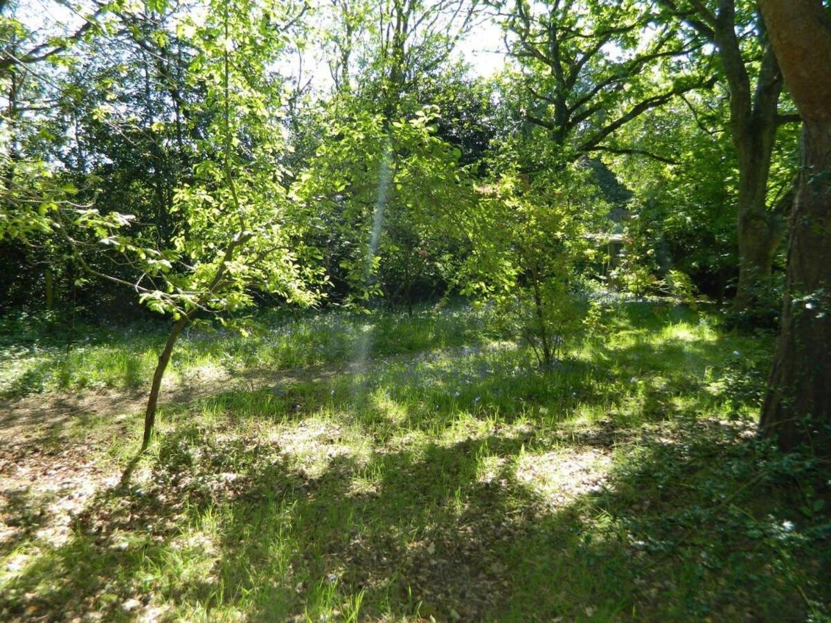 River Cottage A Country Retreat In Wooded Gardens East Stoke (Dorset) Exterior foto